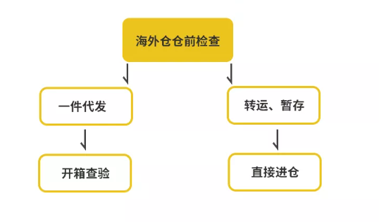 1631239845511058.png 04.png